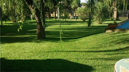 HIGH GARDEN - Parquizaciones y Jardinería en La Plata y Alrededores